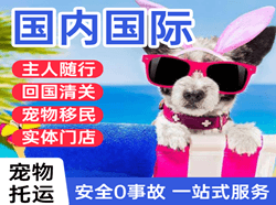 遵义新舟机场空运国际宠物托运 【国
